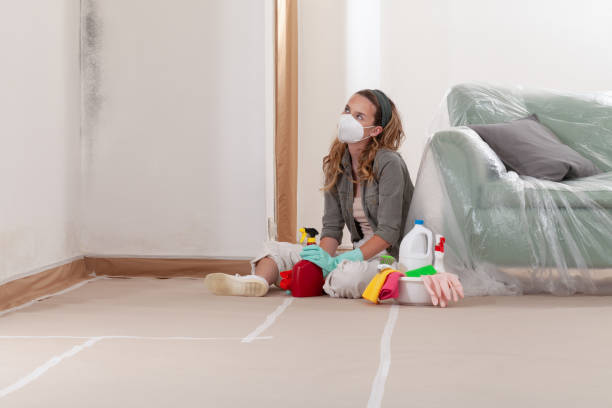 Reliable Mold Cleanup contractor in Frankfort, IL by WQB Mold Removal
